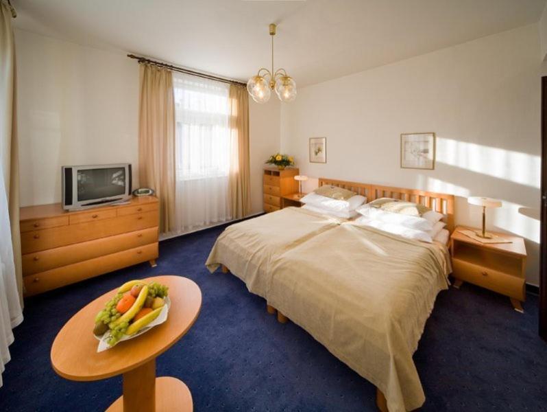 Monti Spa Františkovy Lázně Camera foto