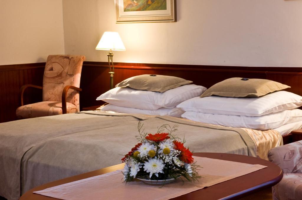 Monti Spa Františkovy Lázně Camera foto
