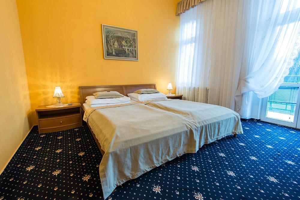 Monti Spa Františkovy Lázně Camera foto